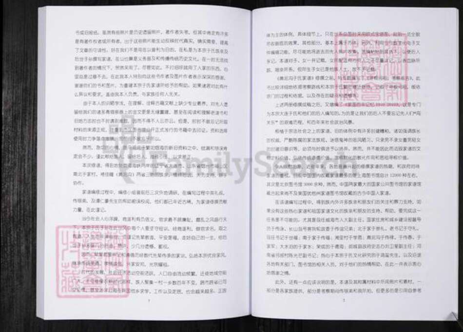 山东省烟台市于氏族谱-黄泥沟于氏家谱.pdf电子版预览图5