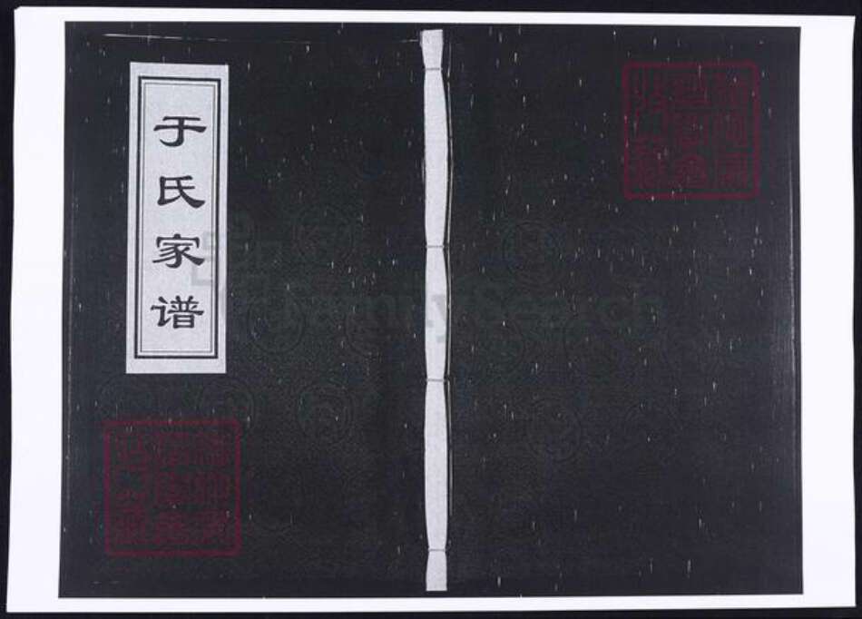 河北省沧州于氏族谱-于氏家谱.pdf电子版缩略图