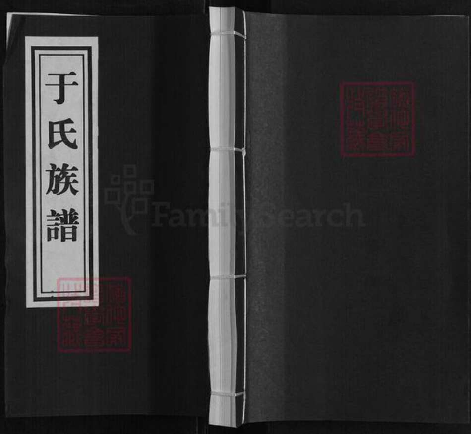 山东省临沂市兰山区山东省临沂市临沂市于氏族谱-于氏族谱[不分卷].pdf电子版缩略图