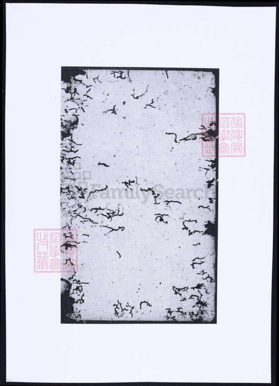 湖南省岳阳市平江县余氏族谱-碧潭余氏族谱.pdf电子版缩略图