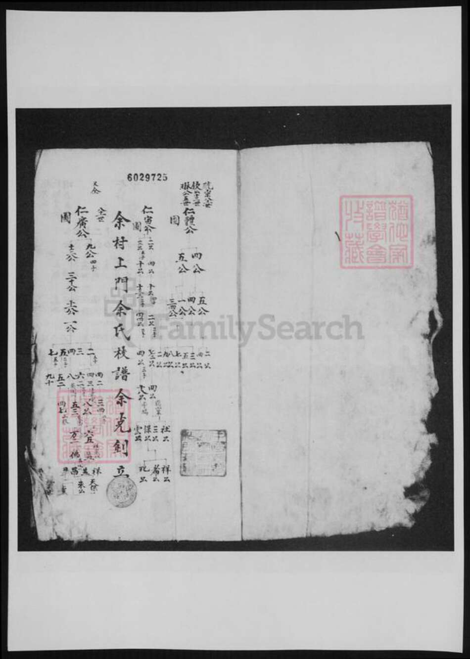 河南省洛阳市余氏族谱-新安余氏世系像谱.pdf电子版预览图2