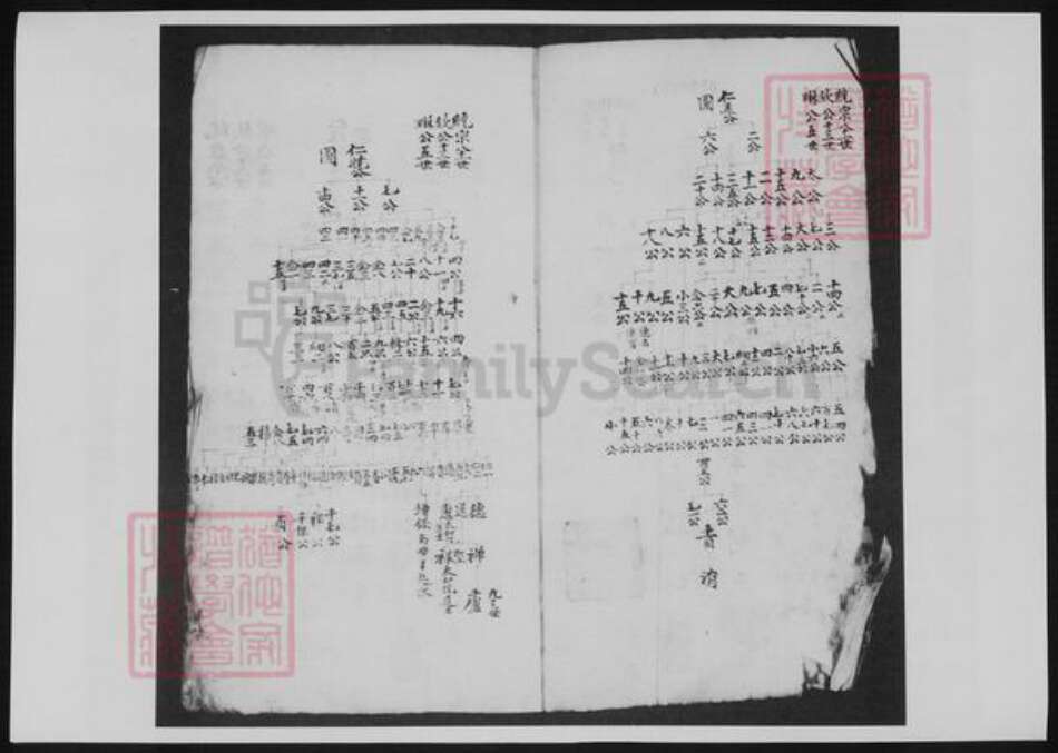 河南省洛阳市余氏族谱-新安余氏世系像谱.pdf电子版预览图3