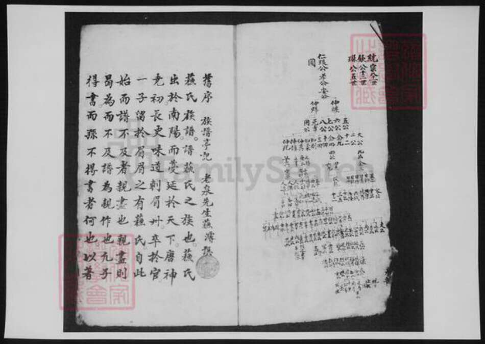 河南省洛阳市余氏族谱-新安余氏世系像谱.pdf电子版预览图4