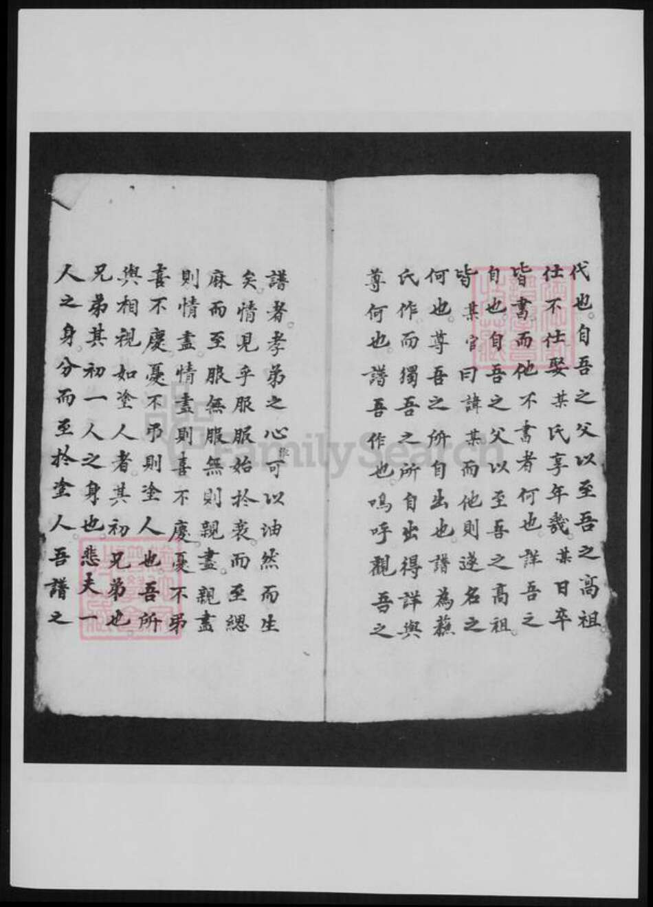 河南省洛阳市余氏族谱-新安余氏世系像谱.pdf电子版预览图5