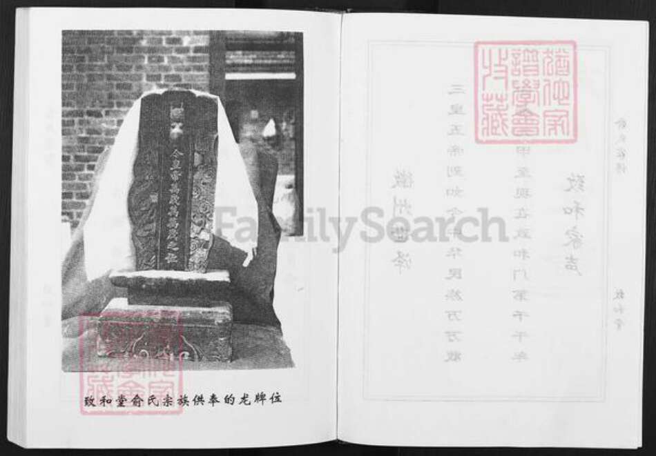 安徽省滁州市天长市俞氏致和堂族谱-俞氏家谱.pdf电子版预览图3