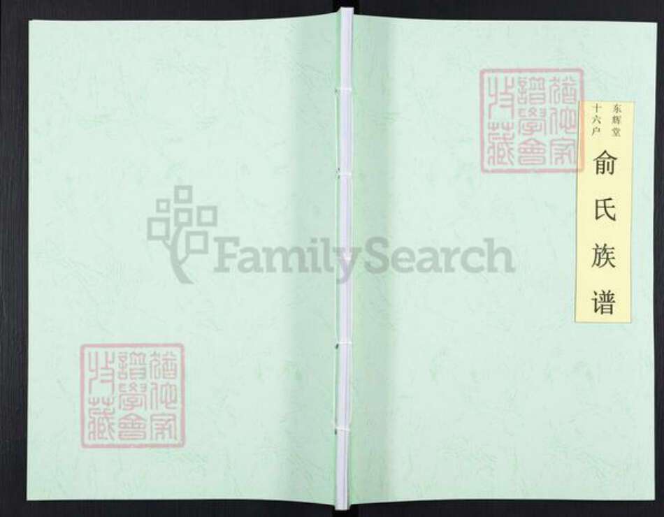 浙江省宁波市余姚市区余姚俞氏东辉堂族谱-东辉堂十六户俞氏族谱.pdf电子版缩略图