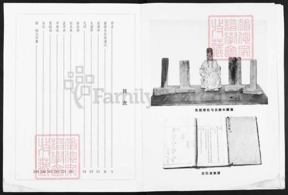 山西省运城市平陆县张村镇贠氏族谱-贠氏族谱.pdf电子版预览图3