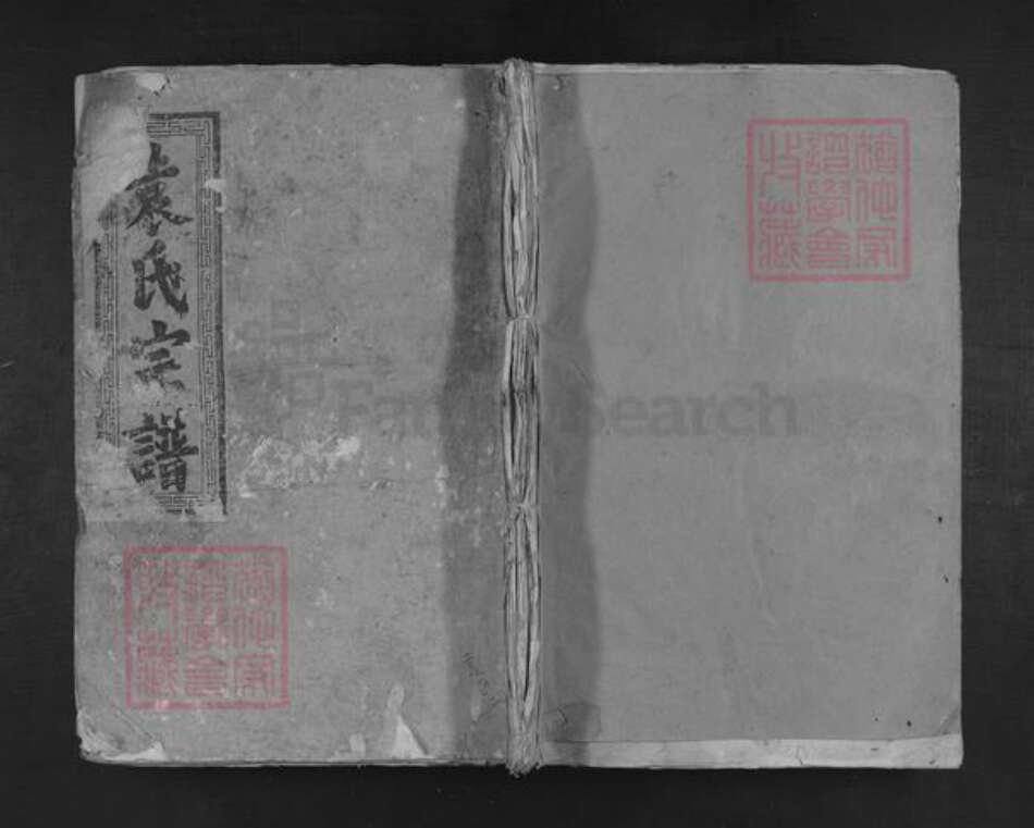 江西省袁氏族谱-袁氏宗谱.pdf电子版缩略图