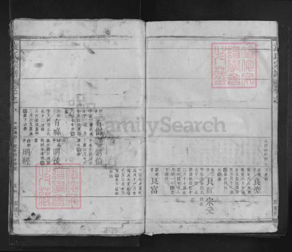 江西省袁氏族谱-袁氏宗谱.pdf电子版预览图5