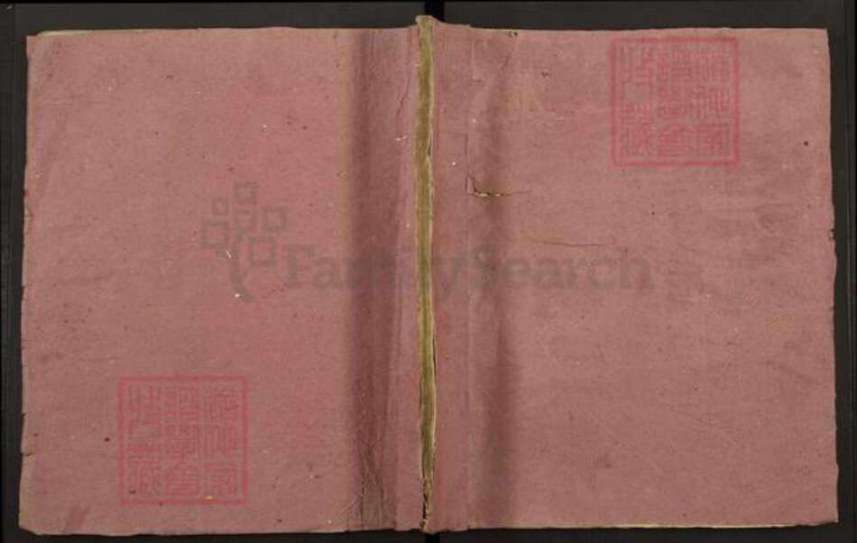 江西省吉安市泰和市袁氏复古堂族谱-吉安泰邑横岗复古堂主谱.pdf电子版缩略图