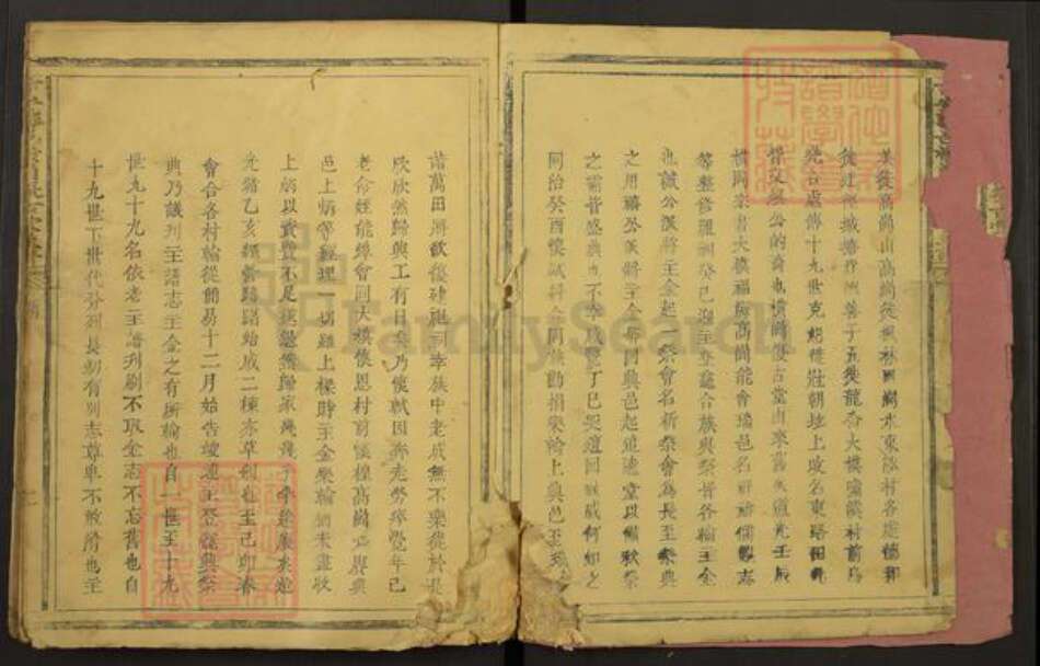 江西省吉安市泰和市袁氏复古堂族谱-吉安泰邑横岗复古堂主谱.pdf电子版预览图2