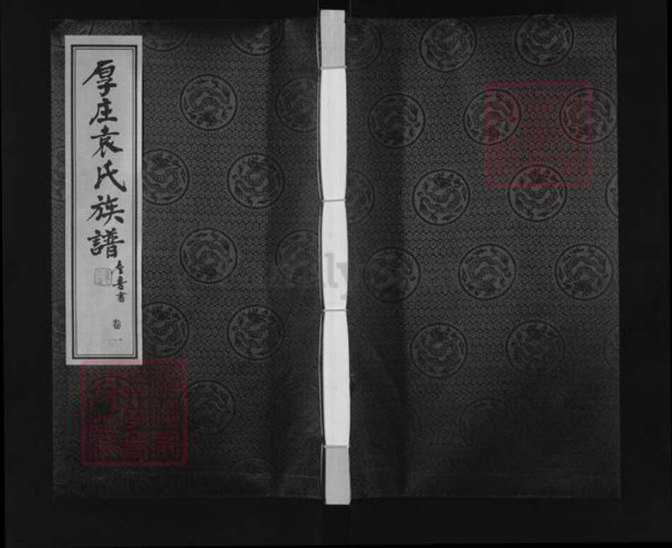 江苏省常州市金坛区儒林镇袁氏承启堂族谱-厚庄袁氏族谱.pdf电子版缩略图