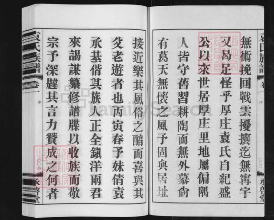 江苏省常州市金坛区儒林镇袁氏承启堂族谱-厚庄袁氏族谱.pdf电子版预览图3