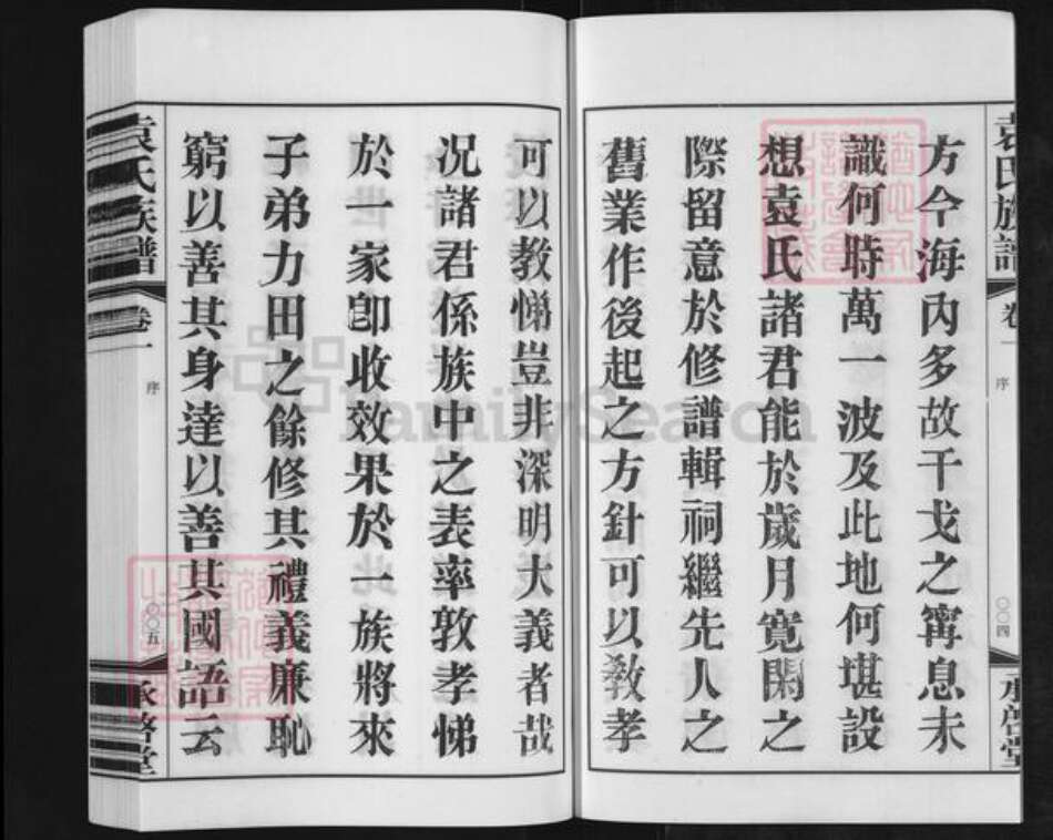 江苏省常州市金坛区儒林镇袁氏承启堂族谱-厚庄袁氏族谱.pdf电子版预览图4