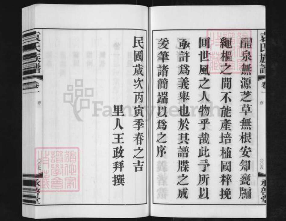 江苏省常州市金坛区儒林镇袁氏承启堂族谱-厚庄袁氏族谱.pdf电子版预览图5