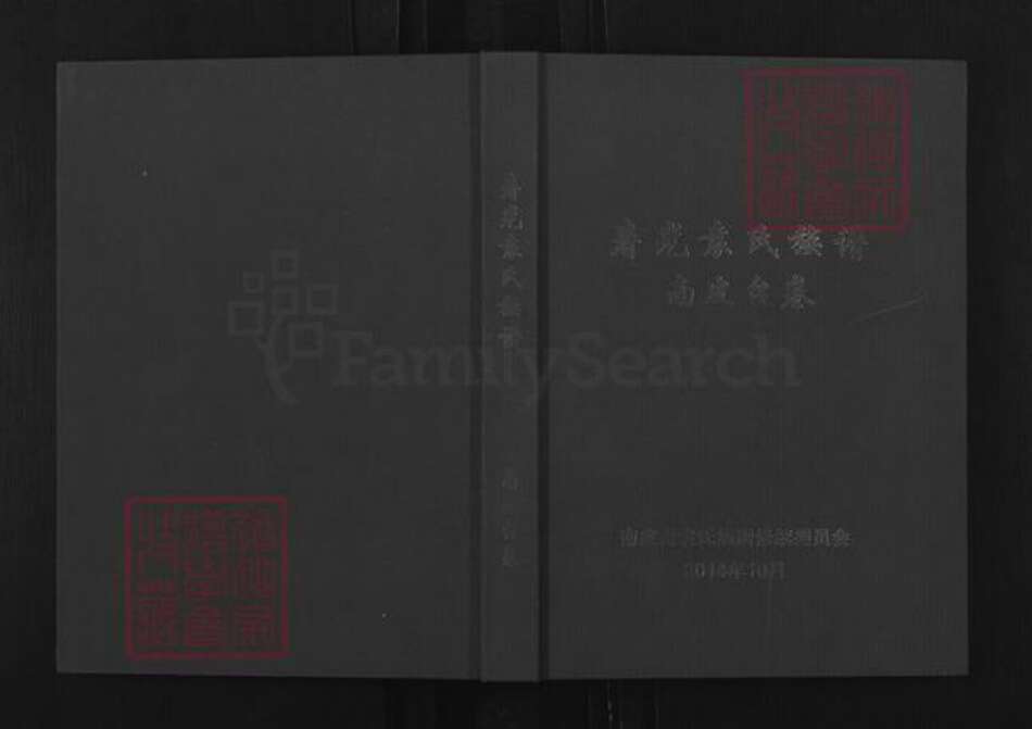 山东省潍坊市寿光市袁氏族谱-寿光袁氏族谱南皮台卷.pdf电子版缩略图