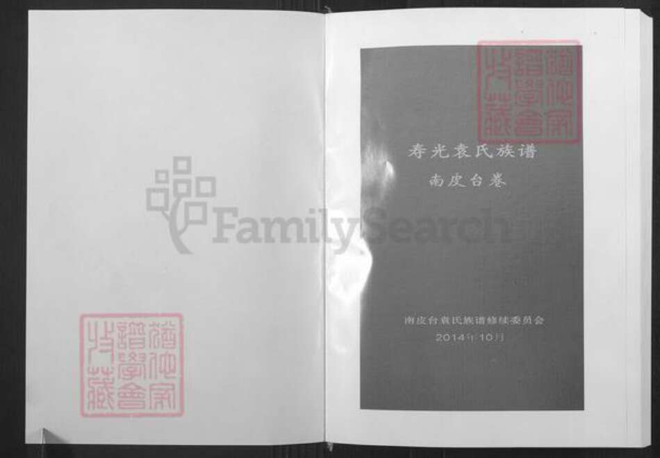 山东省潍坊市寿光市袁氏族谱-寿光袁氏族谱南皮台卷.pdf电子版预览图1