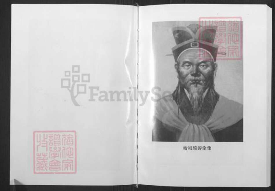 山东省潍坊市寿光市袁氏族谱-寿光袁氏族谱南皮台卷.pdf电子版预览图2