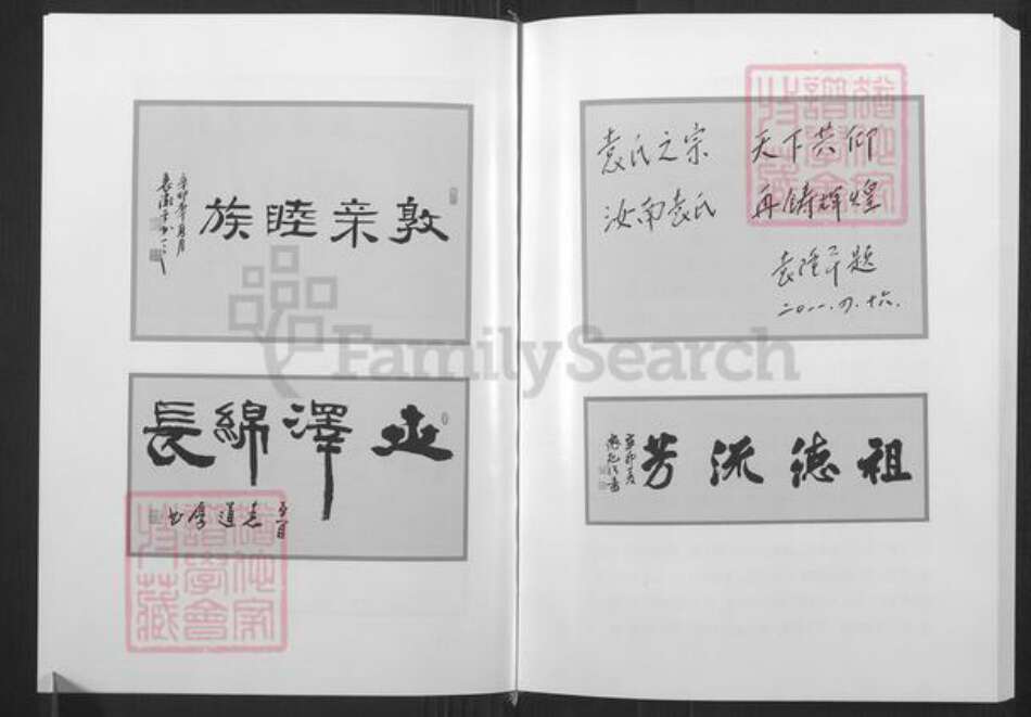 山东省潍坊市寿光市袁氏族谱-寿光袁氏族谱南皮台卷.pdf电子版预览图4