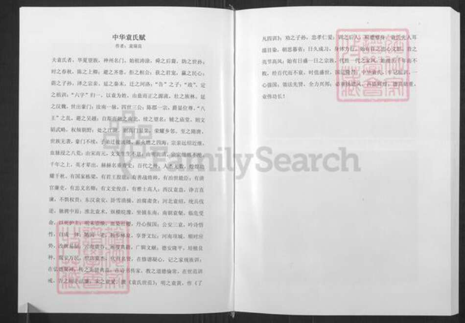 山东省潍坊市寿光市袁氏族谱-寿光袁氏族谱南皮台卷.pdf电子版预览图5