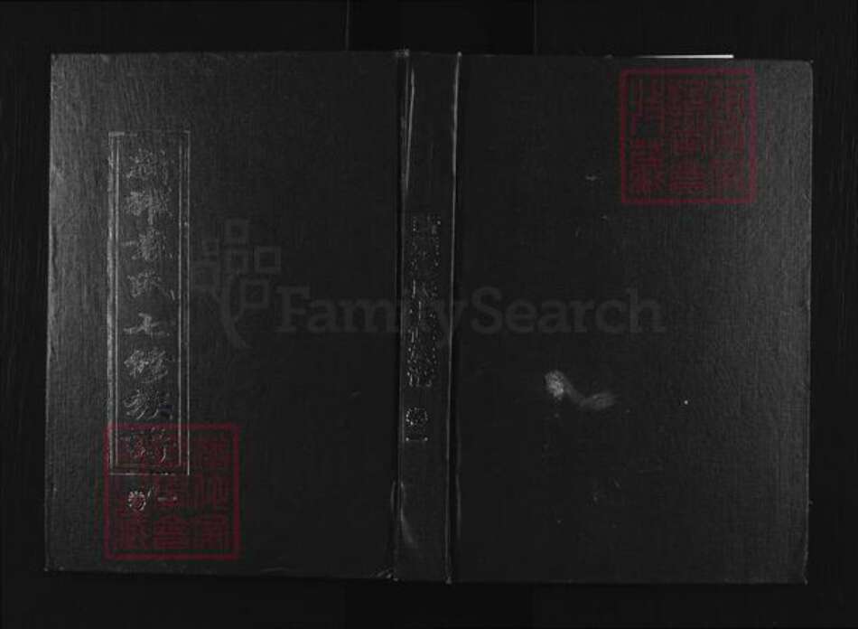 湖南省娄底市双峰县荷叶镇袁氏叙伦堂族谱-新耀袁氏七修族谱.pdf电子版缩略图