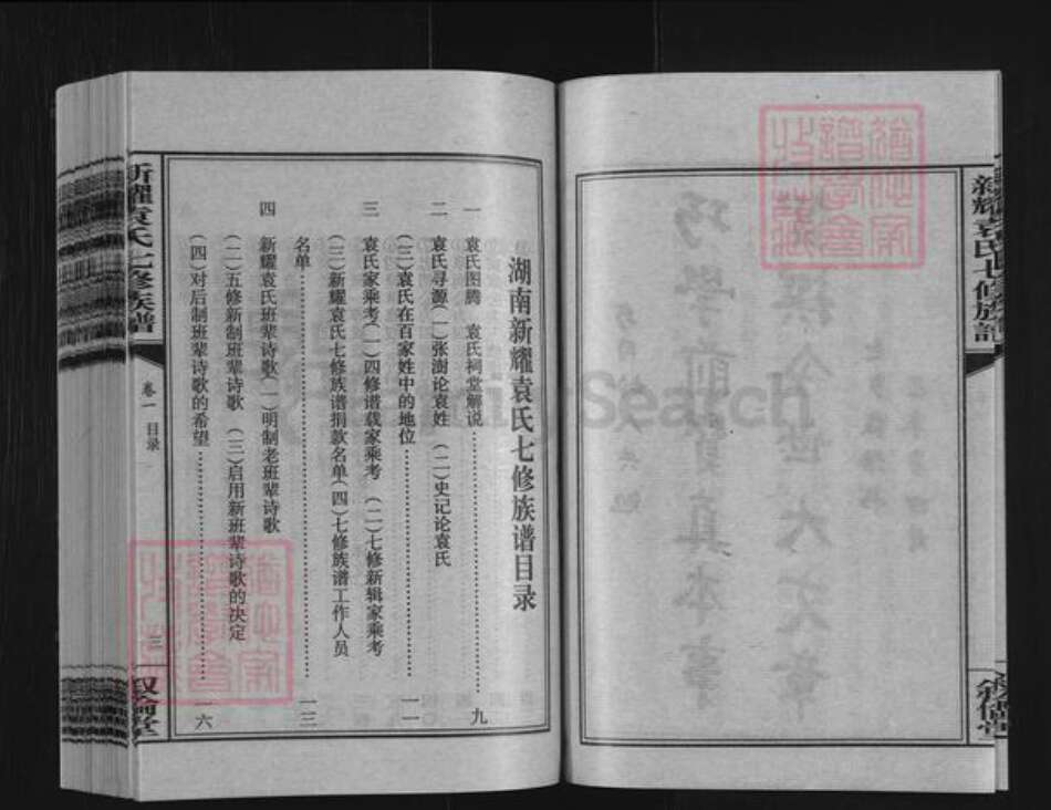 湖南省娄底市双峰县荷叶镇袁氏叙伦堂族谱-新耀袁氏七修族谱.pdf电子版预览图4