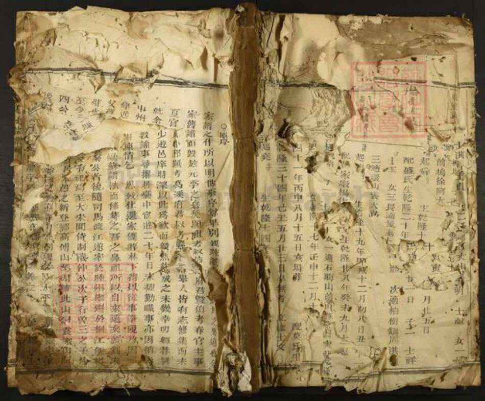 浙江省杭州市富阳新登镇镇袁氏族谱-东安袁氏宗谱.pdf电子版缩略图