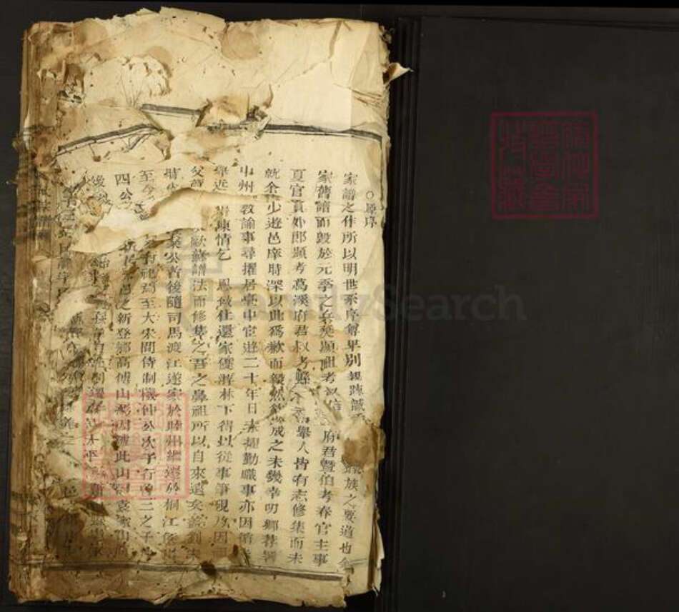 浙江省杭州市富阳新登镇镇袁氏族谱-东安袁氏宗谱.pdf电子版预览图1