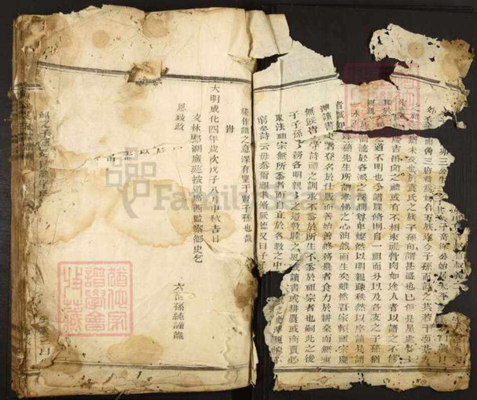 浙江省杭州市富阳新登镇镇袁氏族谱-东安袁氏宗谱.pdf电子版预览图2