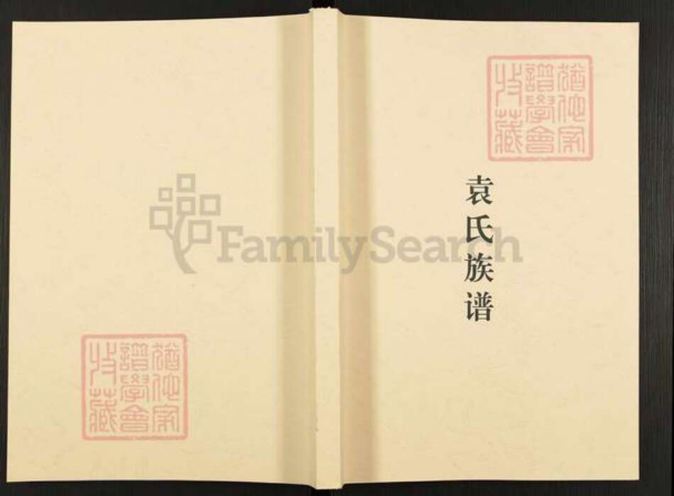 湖南省株洲市茶陵县袁氏族谱-袁氏族谱.pdf电子版缩略图