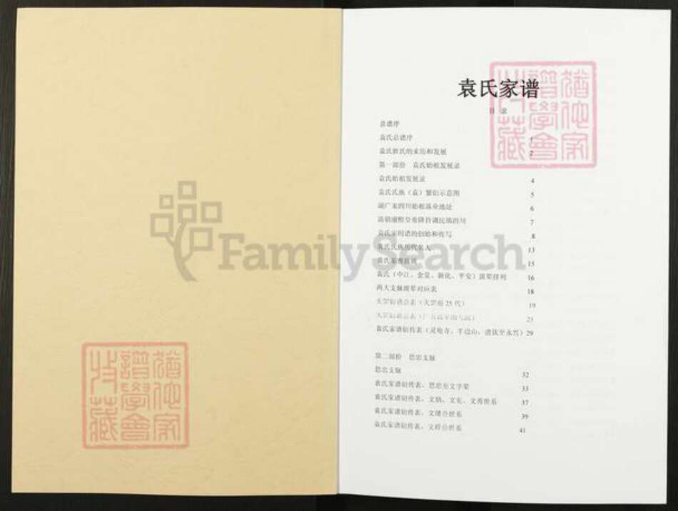 湖南省株洲市茶陵县袁氏族谱-袁氏族谱.pdf电子版预览图1