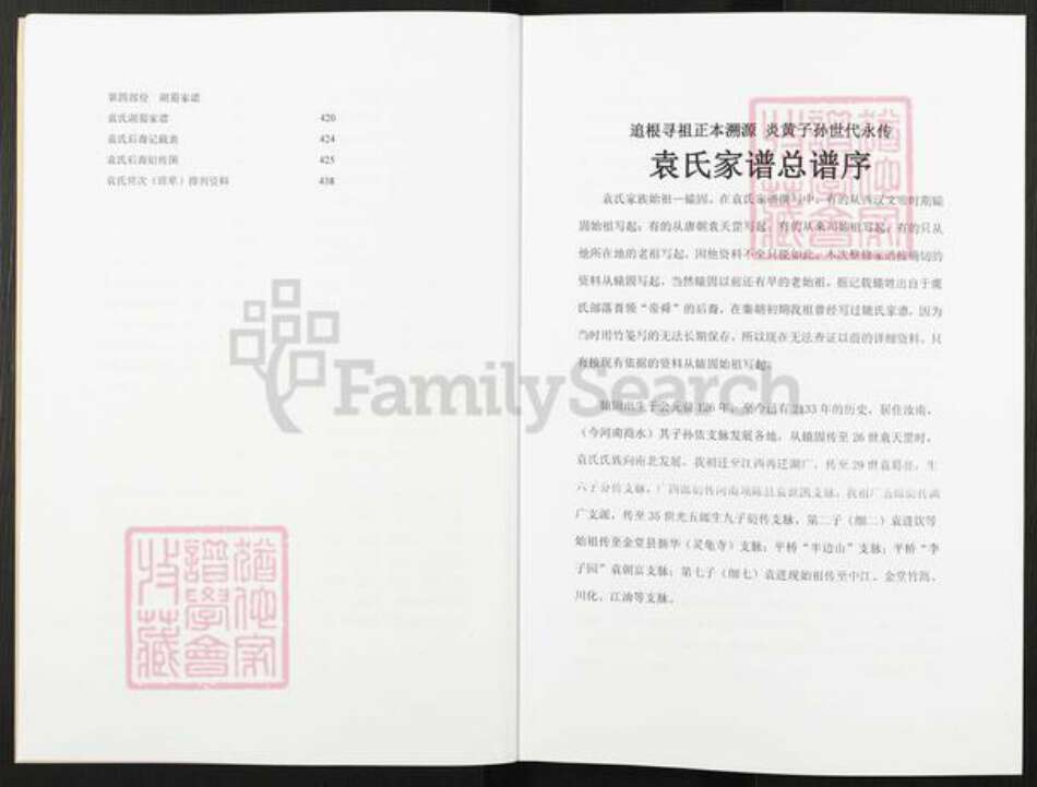 湖南省株洲市茶陵县袁氏族谱-袁氏族谱.pdf电子版预览图3