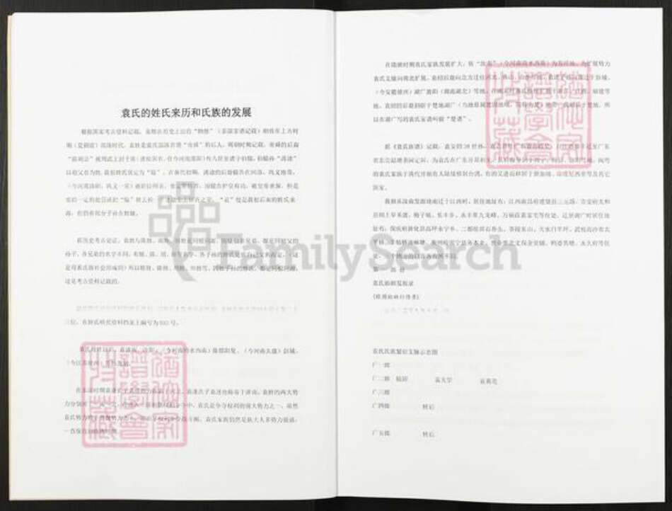 湖南省株洲市茶陵县袁氏族谱-袁氏族谱.pdf电子版预览图4