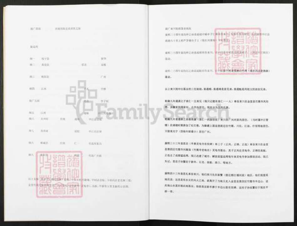湖南省株洲市茶陵县袁氏族谱-袁氏族谱.pdf电子版预览图5