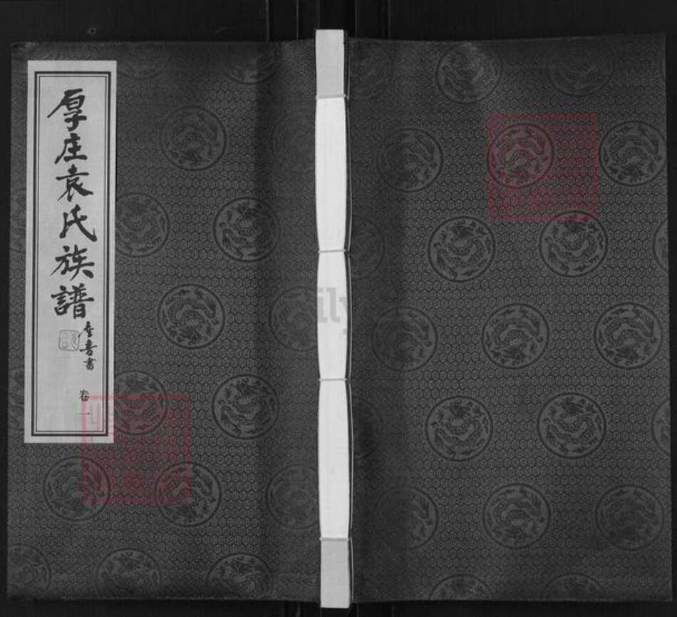 江苏省常州市武进县袁氏承启堂族谱-厚庄袁氏宗谱.pdf电子版缩略图