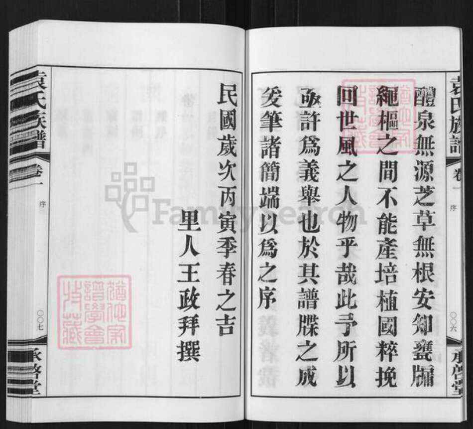 江苏省常州市武进县袁氏承启堂族谱-厚庄袁氏宗谱.pdf电子版预览图5