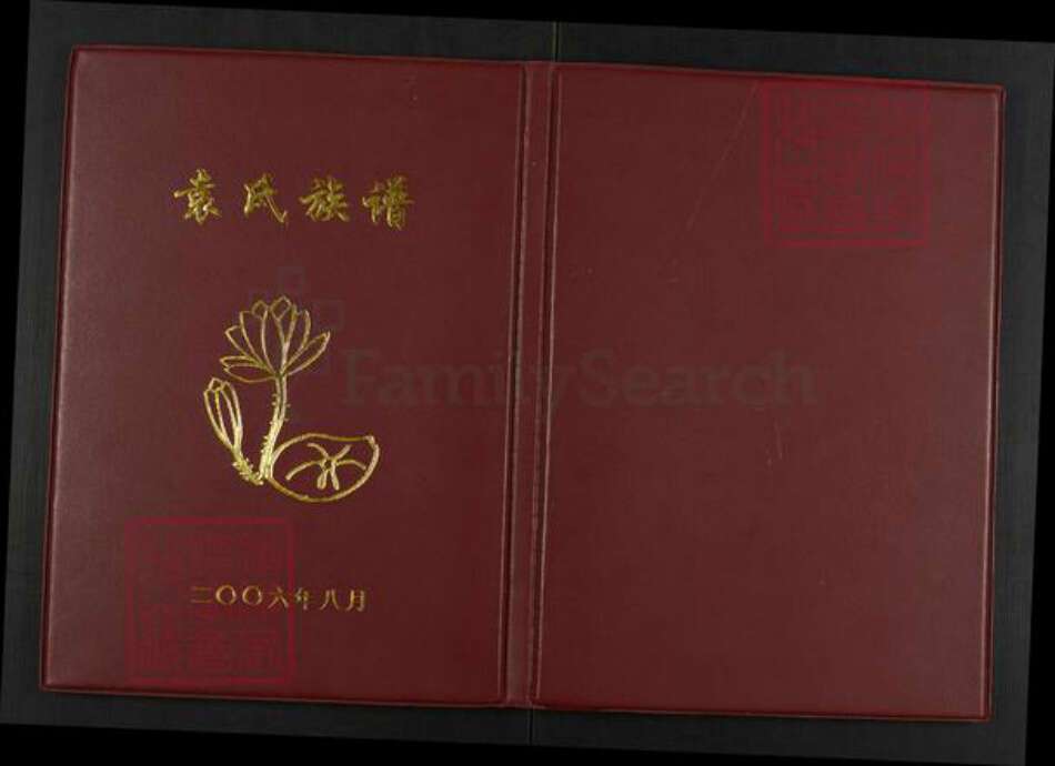 重庆市武隆区江口镇袁氏族谱-袁氏族谱.pdf电子版缩略图