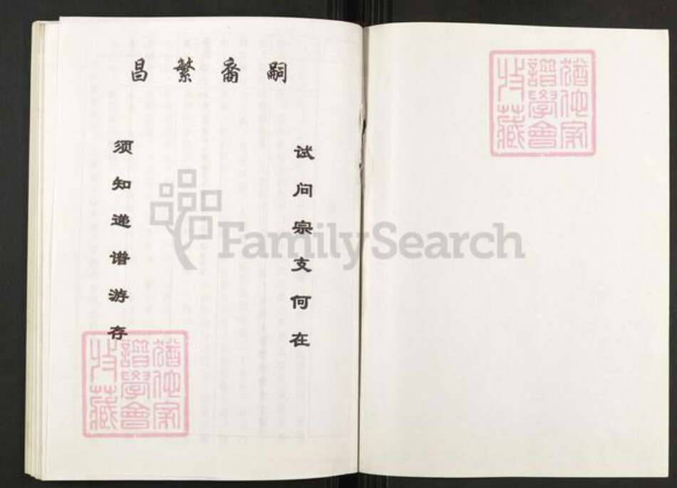 重庆市武隆区江口镇袁氏族谱-袁氏族谱.pdf电子版预览图1