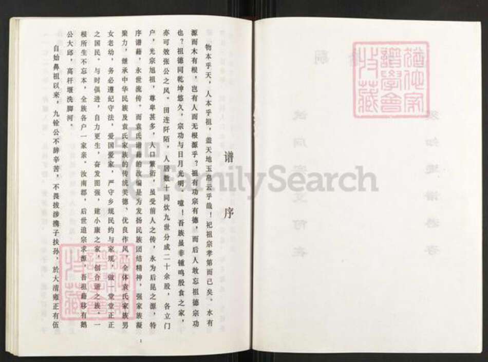 重庆市武隆区江口镇袁氏族谱-袁氏族谱.pdf电子版预览图2