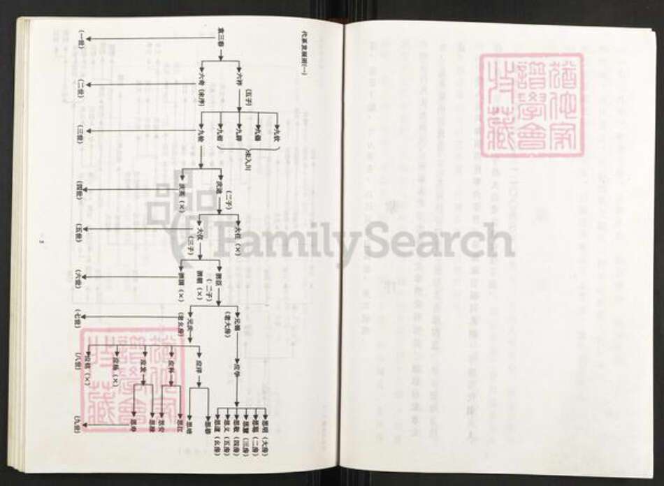 重庆市武隆区江口镇袁氏族谱-袁氏族谱.pdf电子版预览图4