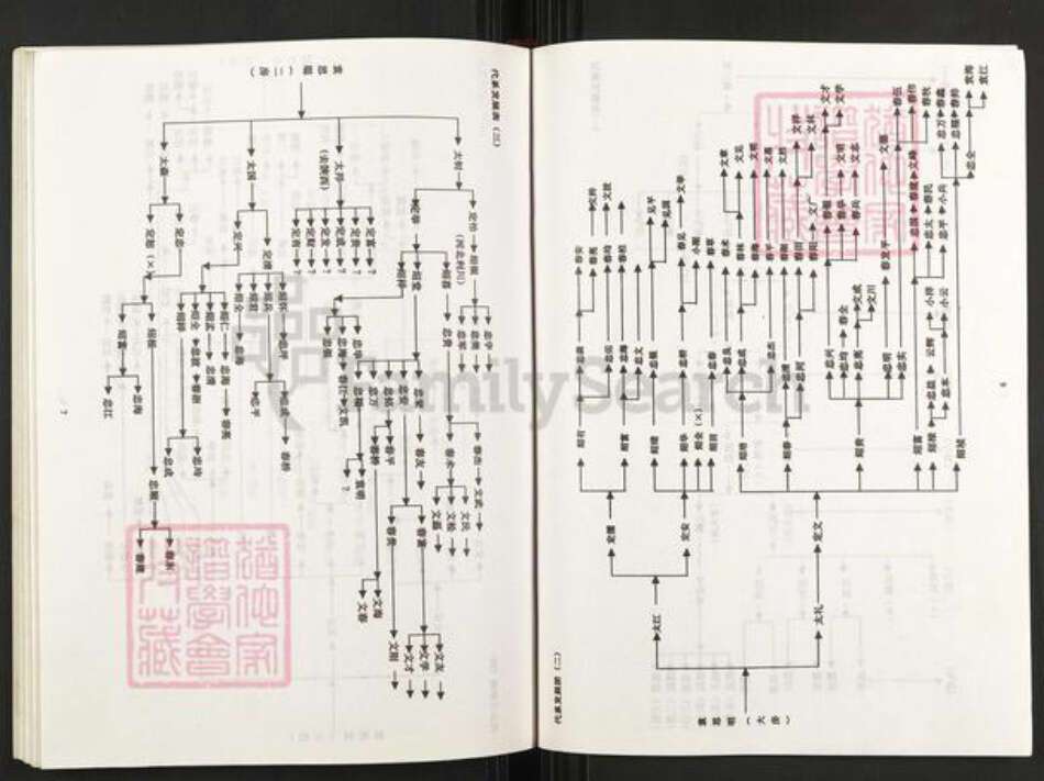重庆市武隆区江口镇袁氏族谱-袁氏族谱.pdf电子版预览图5