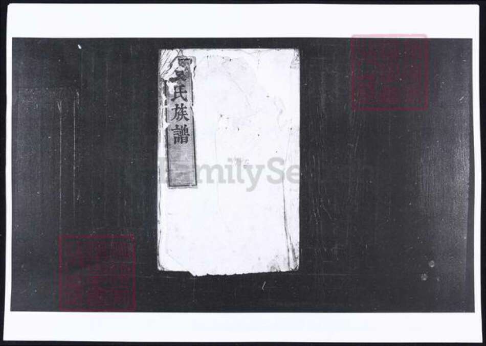 山东省烟台市蓬莱市袁氏族谱-袁氏族谱.pdf电子版缩略图