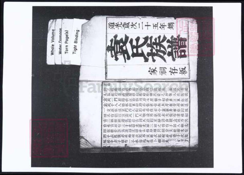 山东省烟台市蓬莱市袁氏族谱-袁氏族谱.pdf电子版预览图2