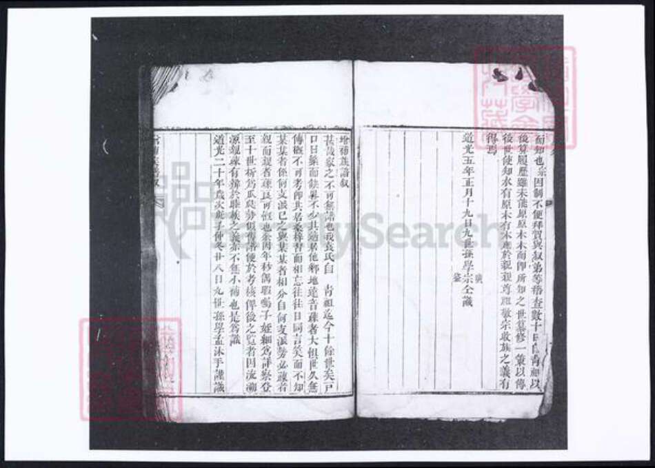 山东省烟台市蓬莱市袁氏族谱-袁氏族谱.pdf电子版预览图3