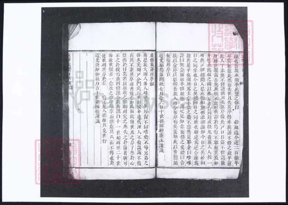 山东省烟台市蓬莱市袁氏族谱-袁氏族谱.pdf电子版预览图5