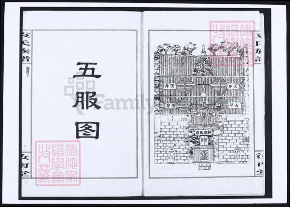 湖北省袁氏族谱-袁氏五修族谱.pdf电子版预览图3