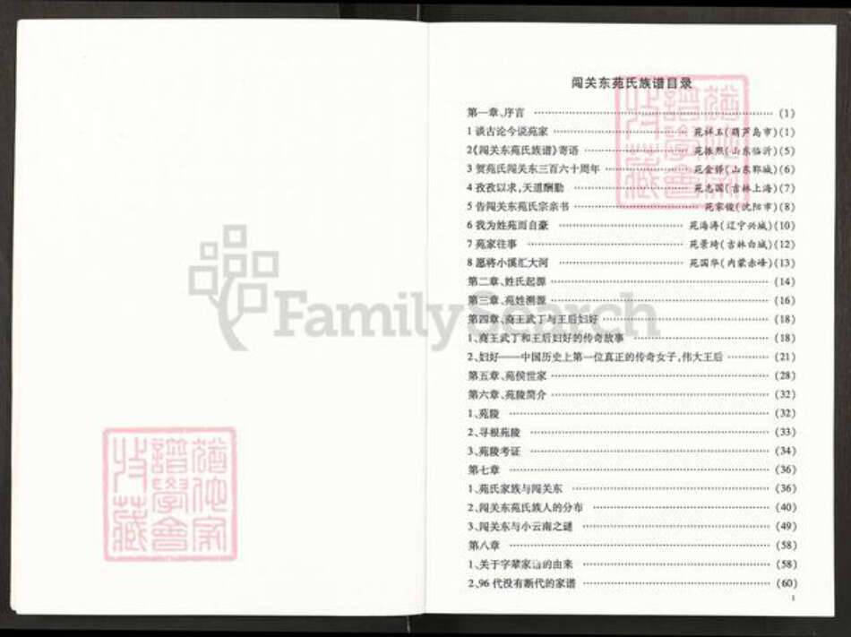 辽宁省沈阳市辽中区苑氏族谱-闯关东苑氏族谱.pdf电子版预览图5