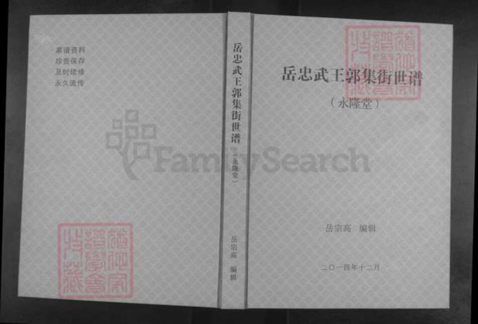 河南省驻马店市泌阳县郭集镇岳氏永隆堂族谱-岳忠武王郭集街世谱.pdf电子版缩略图