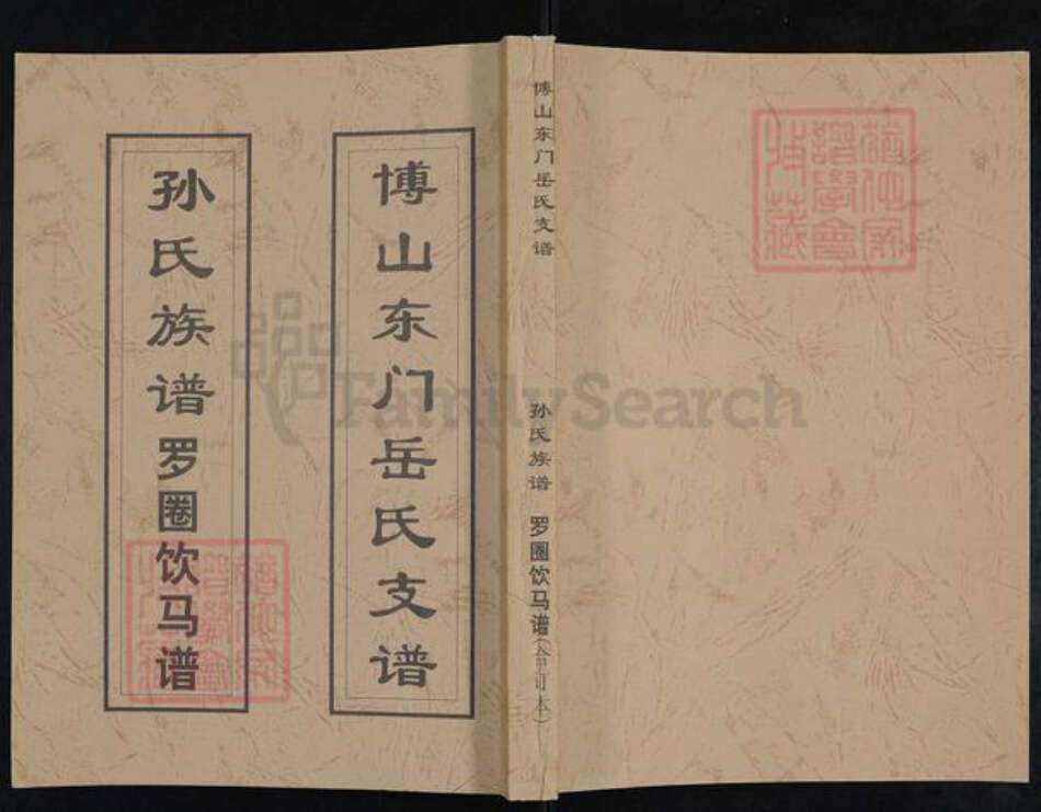 山东省淄博市博山区岳氏族谱-博山东门岳氏支谱.pdf电子版缩略图