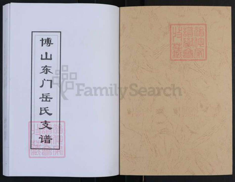 山东省淄博市博山区岳氏族谱-博山东门岳氏支谱.pdf电子版预览图1